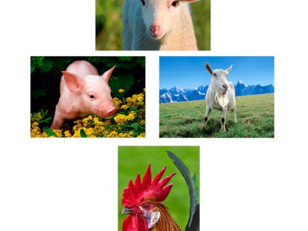 4 - Farm Animals - 3D Lenticular Postcards  Greeting Cards - NEW Hot on Sale