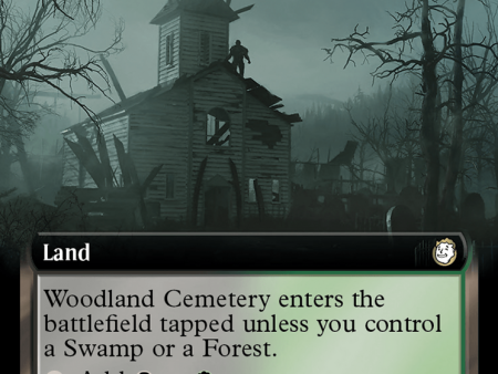 Woodland Cemetery (Extended Art) (Surge Foil) [Fallout] Supply