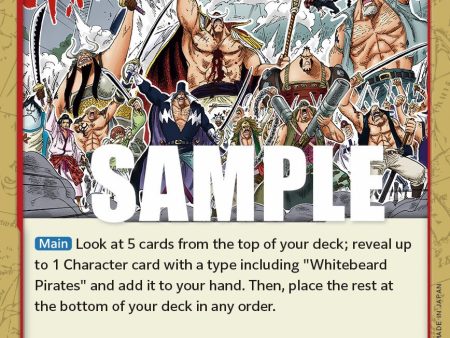 Whitebeard Pirates [Paramount War] on Sale